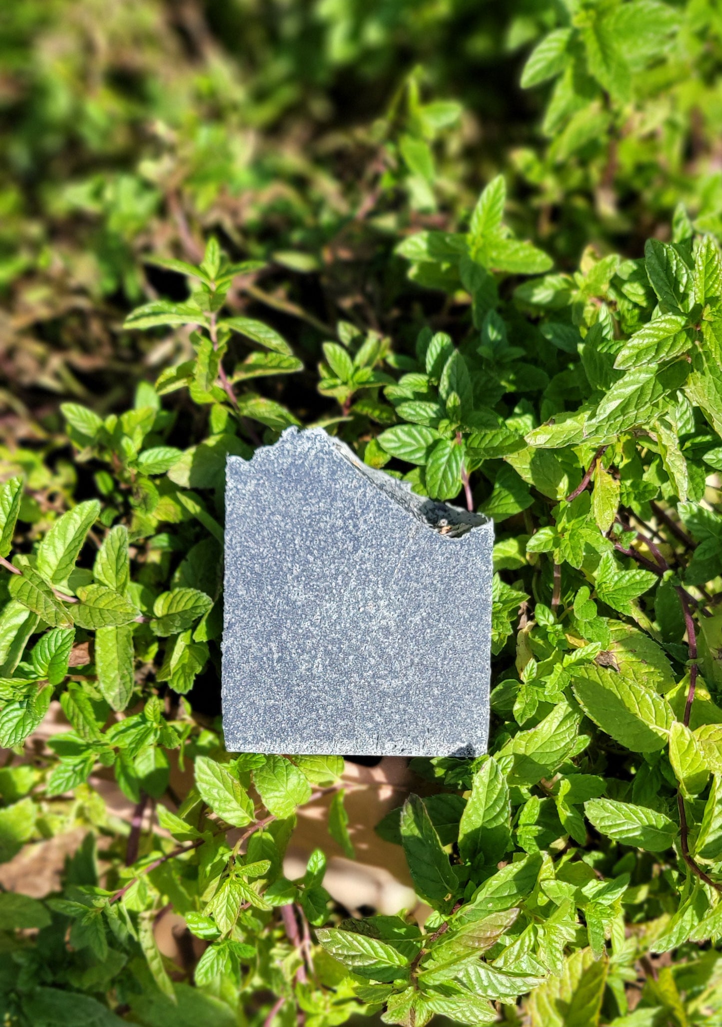 Lavender, Litsea Cubeba & Cedarwood