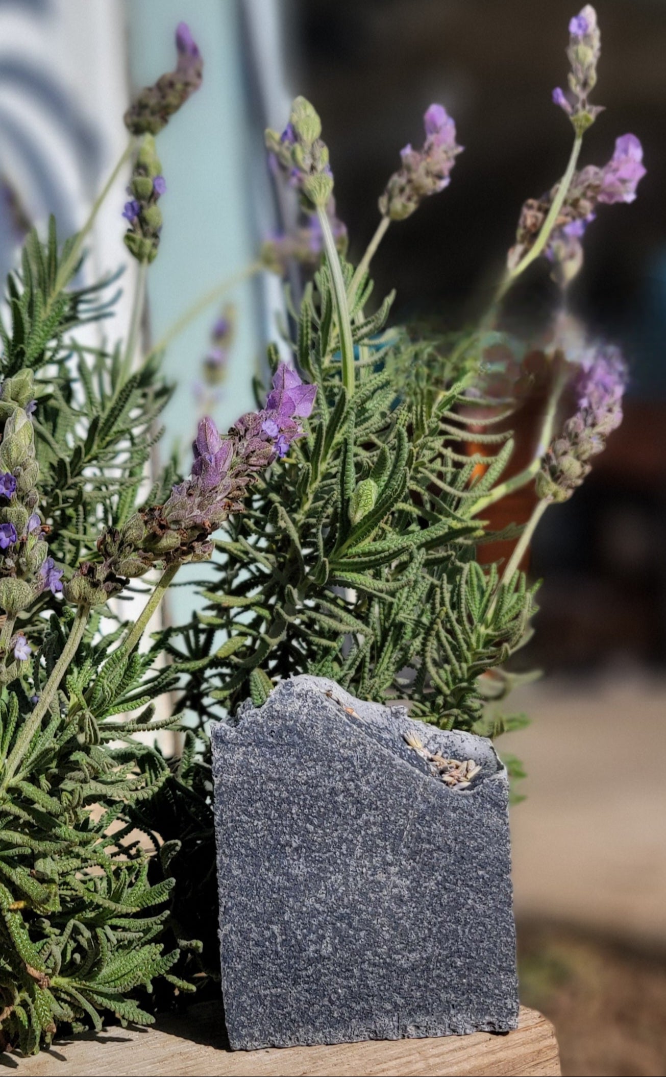 Lavender, Litsea Cubeba & Cedarwood