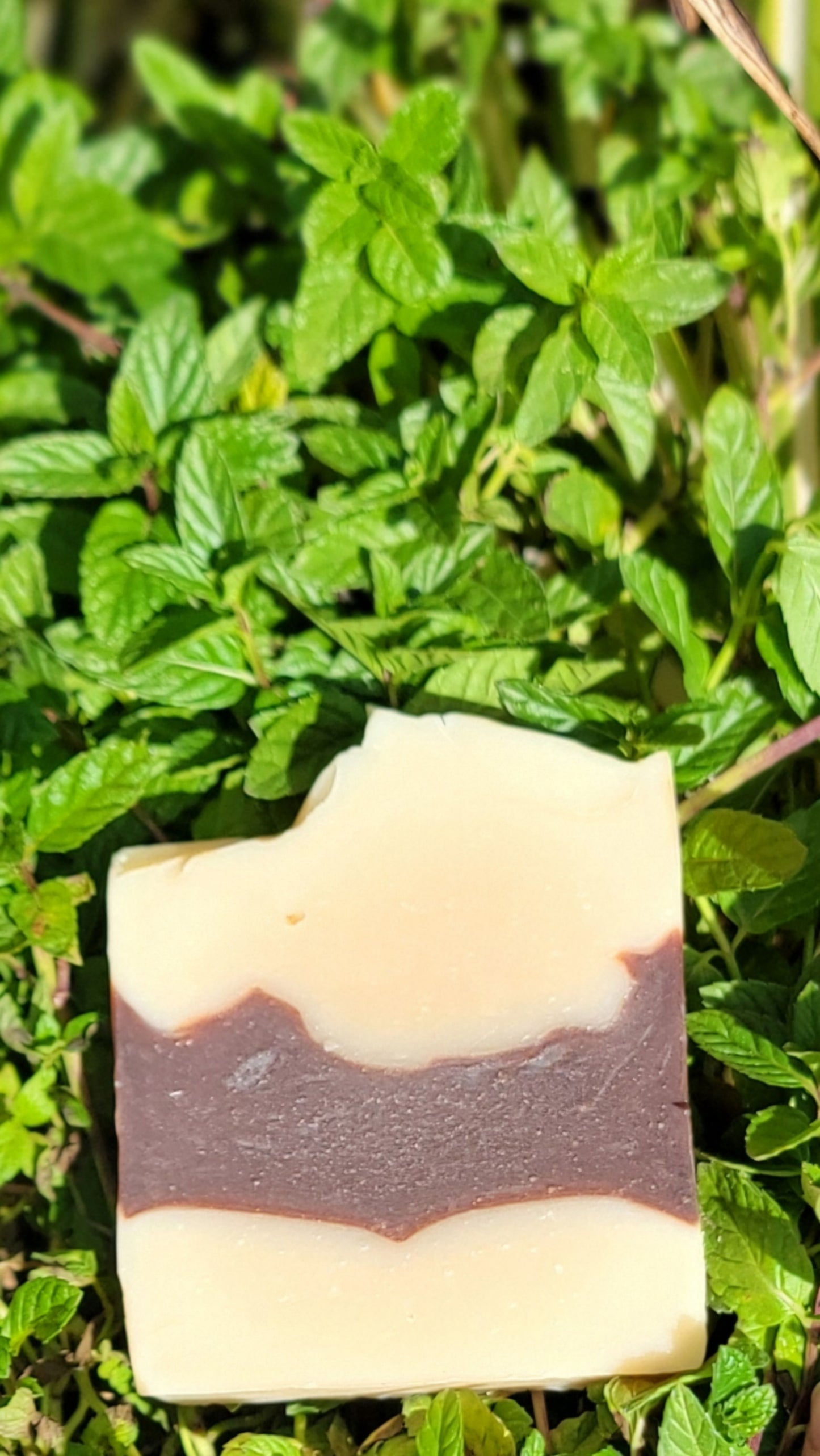 Peppermint Cocoa