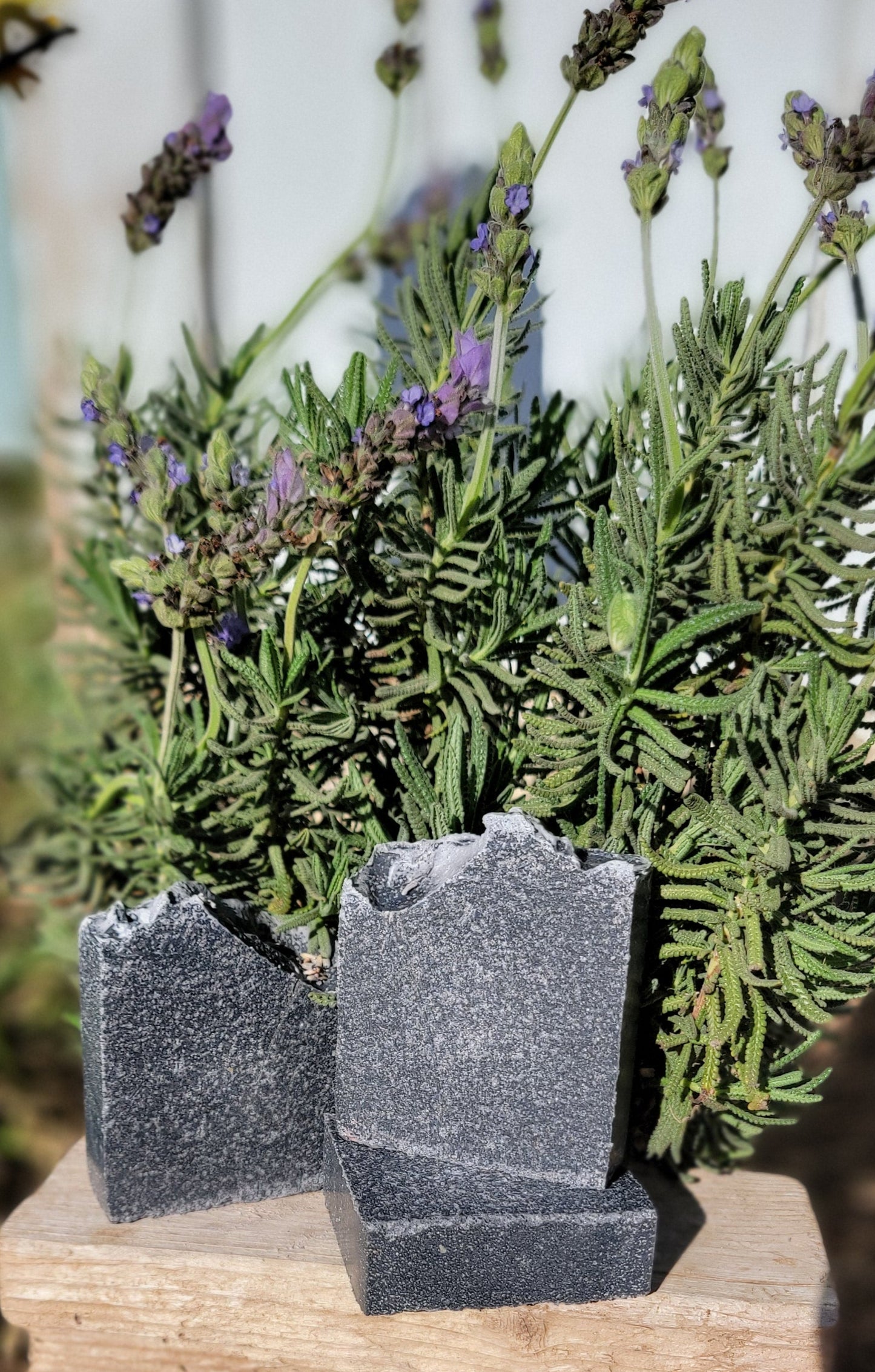 Lavender, Litsea Cubeba & Cedarwood