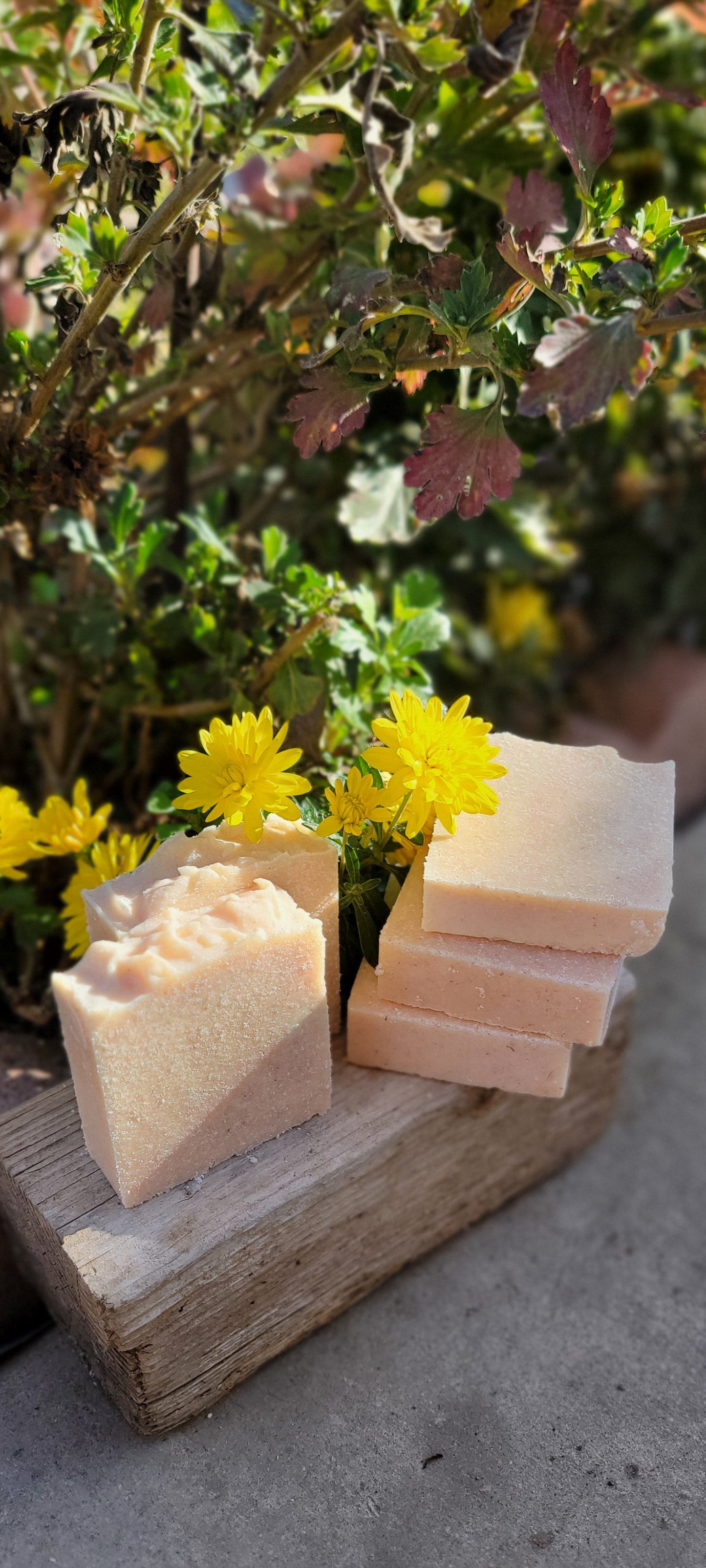 Citrus Sea Salt Bar