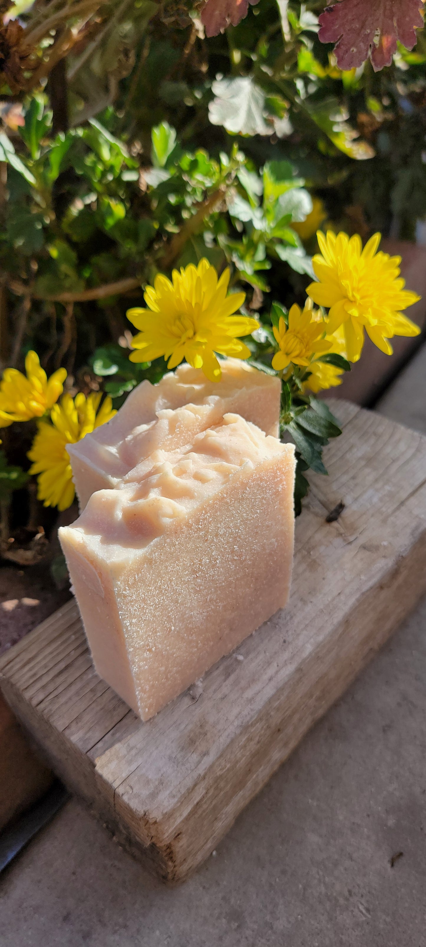 Citrus Sea Salt Bar
