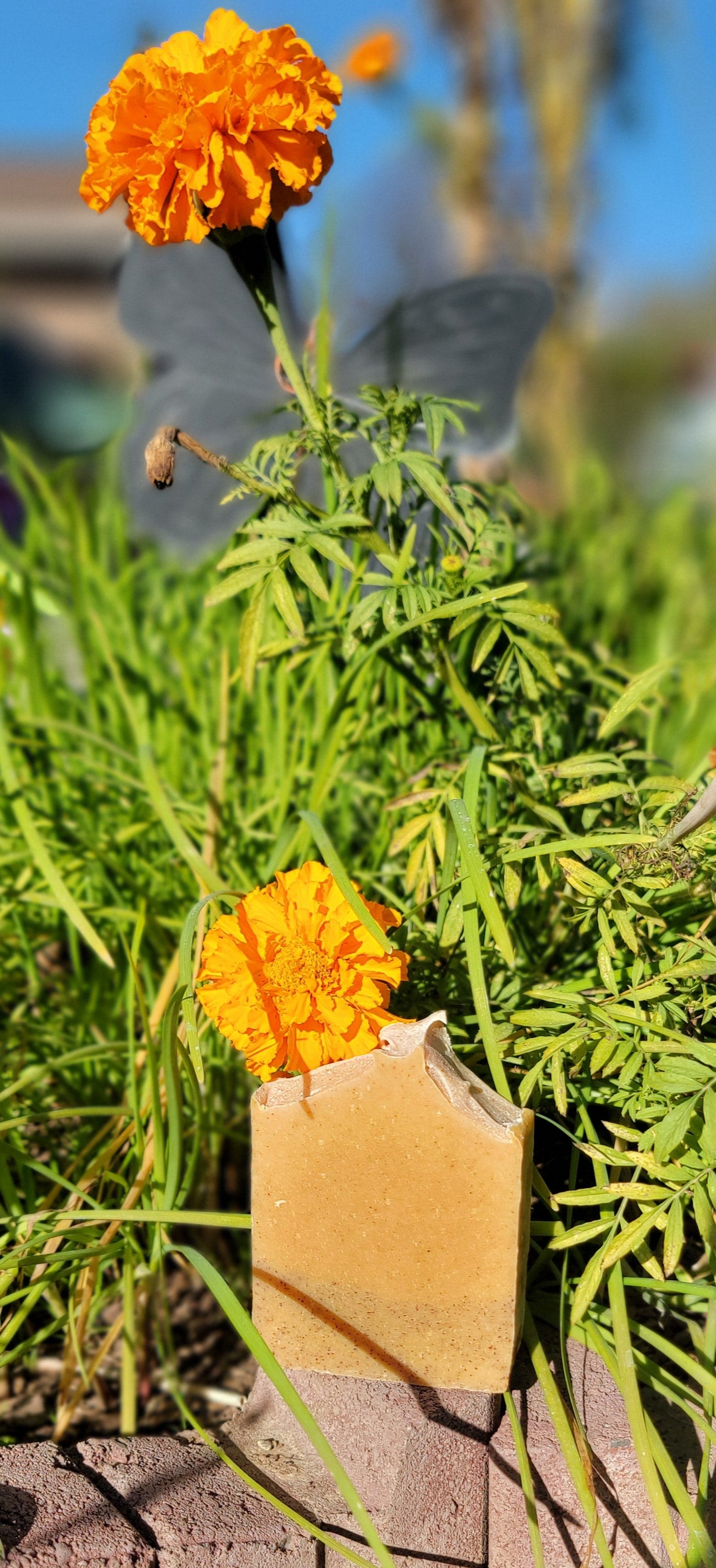 Turmeric & Coconut Milk -Unscented-