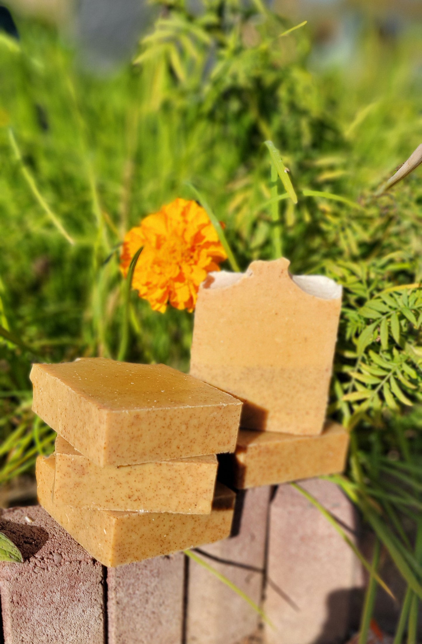 Turmeric & Coconut Milk -Unscented-