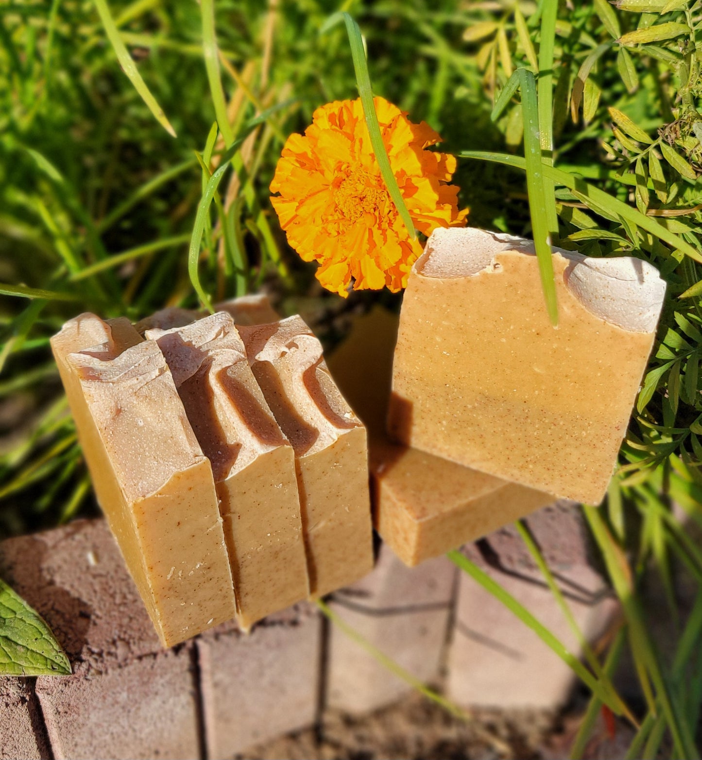 Turmeric & Coconut Milk -Unscented-