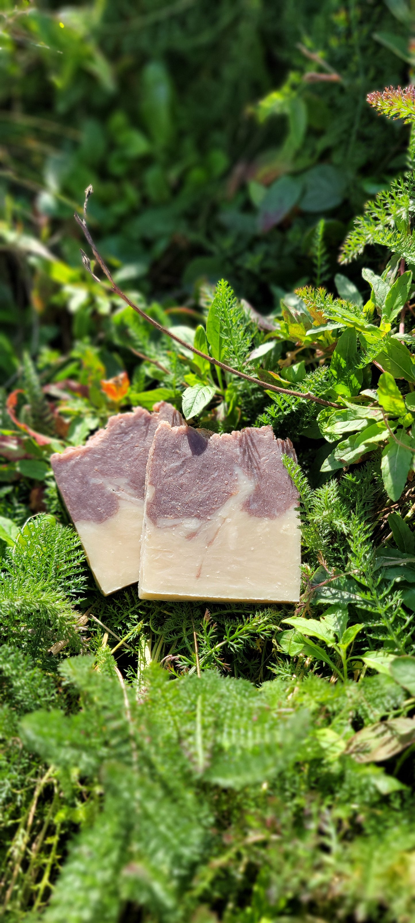 Dark Chocolate and Peppermint