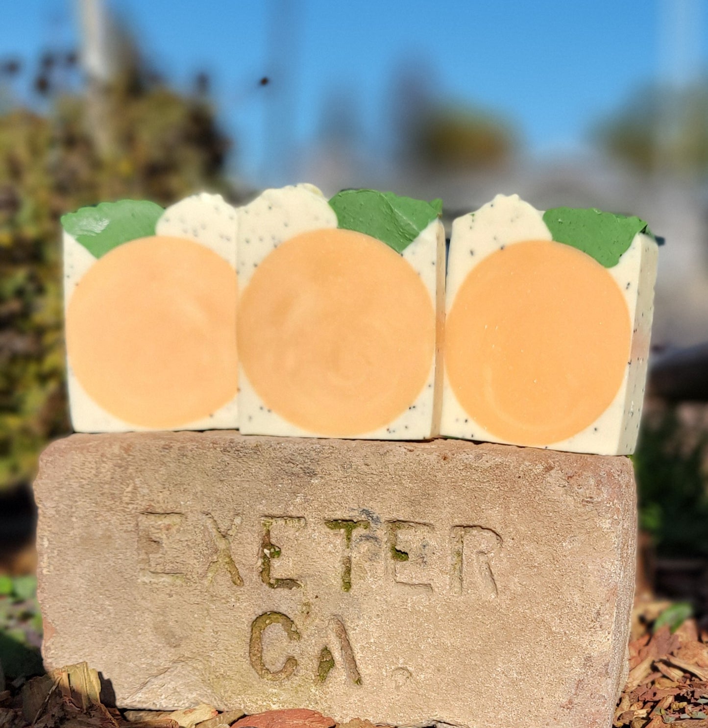 Orange you glad you came