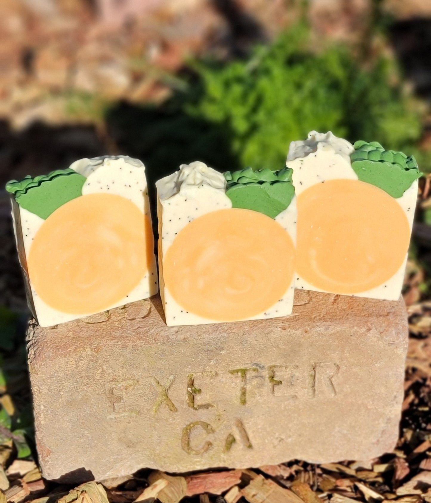 Orange you glad you came