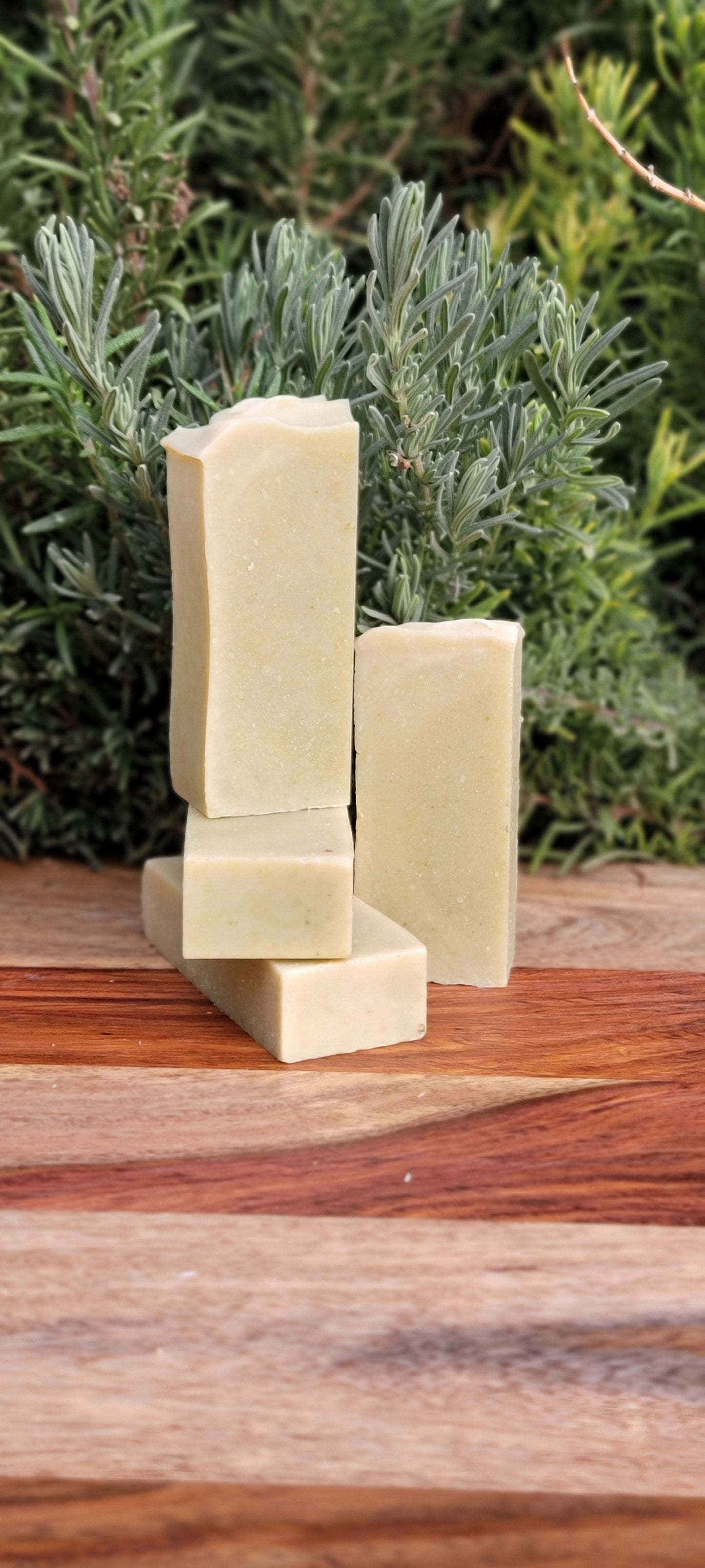 Bug Off (Dog Shampoo Bar)