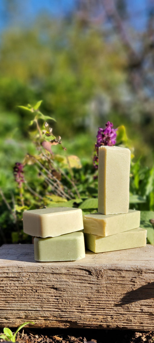 Bug Off (Dog Shampoo Bar)